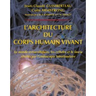 L'architecture du corps humain vivant