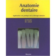 Anatomie dentaire