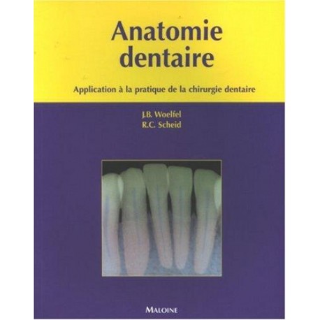 Anatomie dentaire