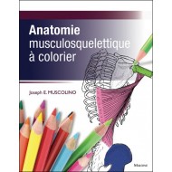 Anatomie musculosquelettique à colorier