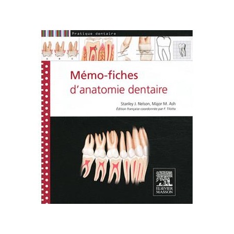 Mémo-fiches d'anatomie dentaire