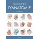 Planches d'anatomie Spirale