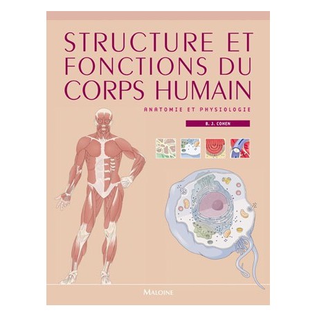 Structure et fonctions du corps humain